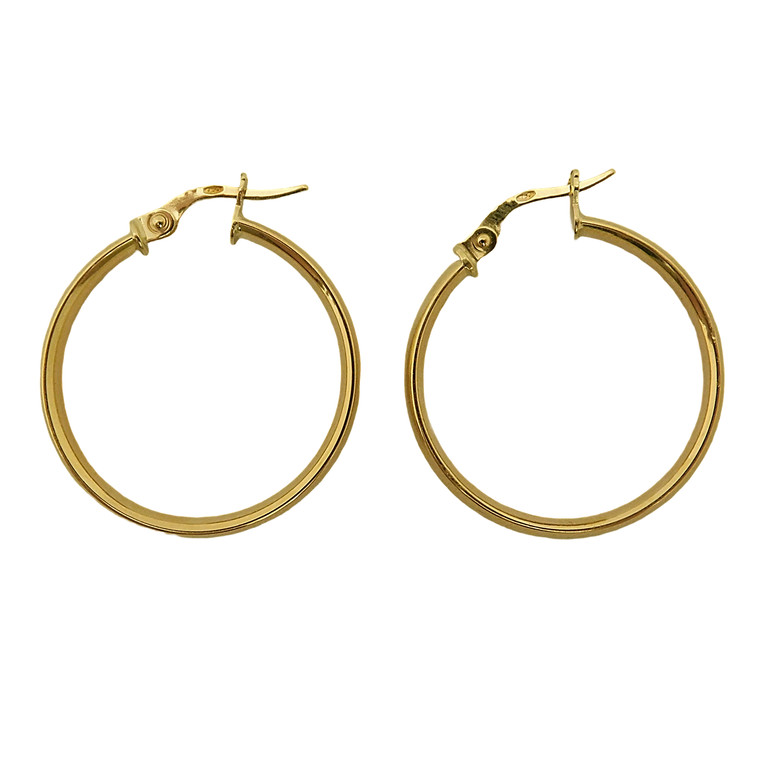 PENDIENTES AROS